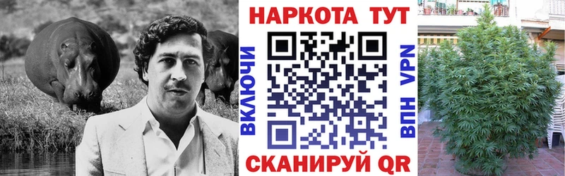 ГАШ Называевск