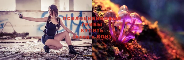 индика Беломорск
