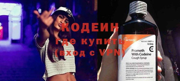 индика Беломорск