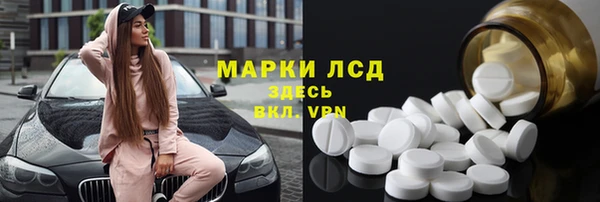 индика Беломорск