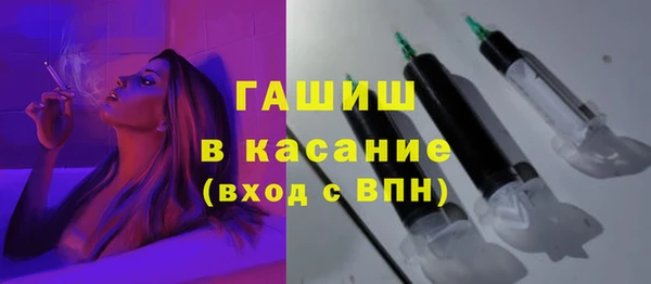 индика Беломорск