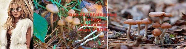 дистиллят марихуана Богородицк