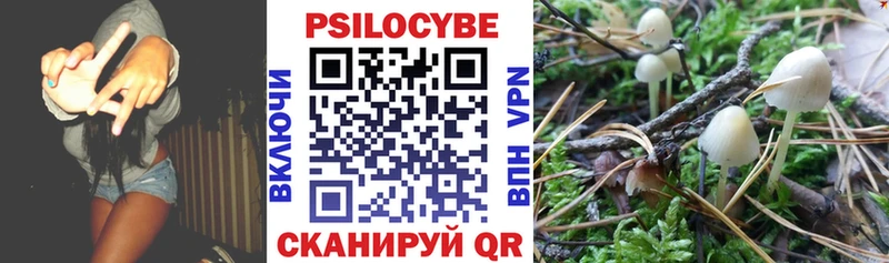 купить наркотики сайты  Называевск  сайты даркнета клад  Галлюциногенные грибы мухоморы 